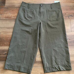 NWT Maeve by Anthropologie The Colette Pant Size 20W